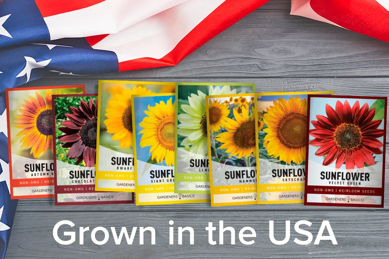 Sunflower Seeds For Planting | 8 Variety Pack