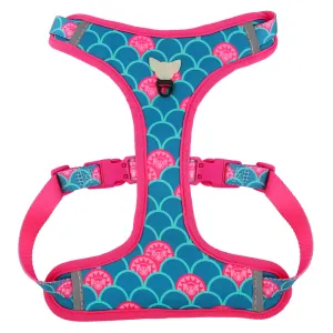Sunshine Expressions Dog Harness | "You are my Sunshine" Collection