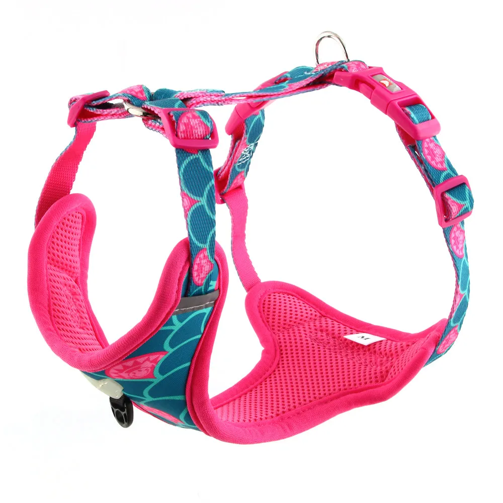 Sunshine Expressions Dog Harness | "You are my Sunshine" Collection