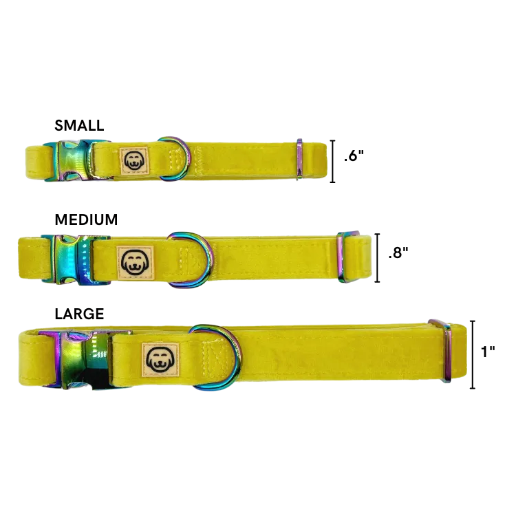 Sunshine Velvet - Dog Collar