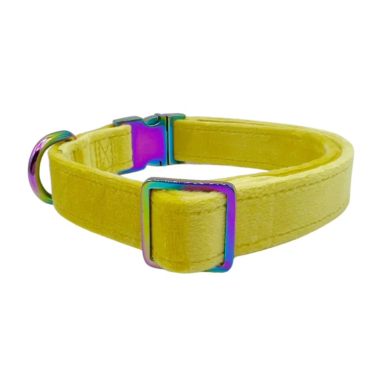 Sunshine Velvet - Dog Collar
