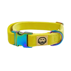 Sunshine Velvet - Dog Collar