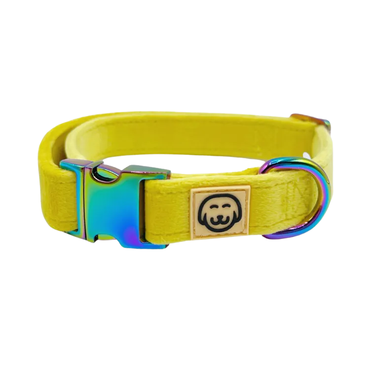 Sunshine Velvet - Dog Collar