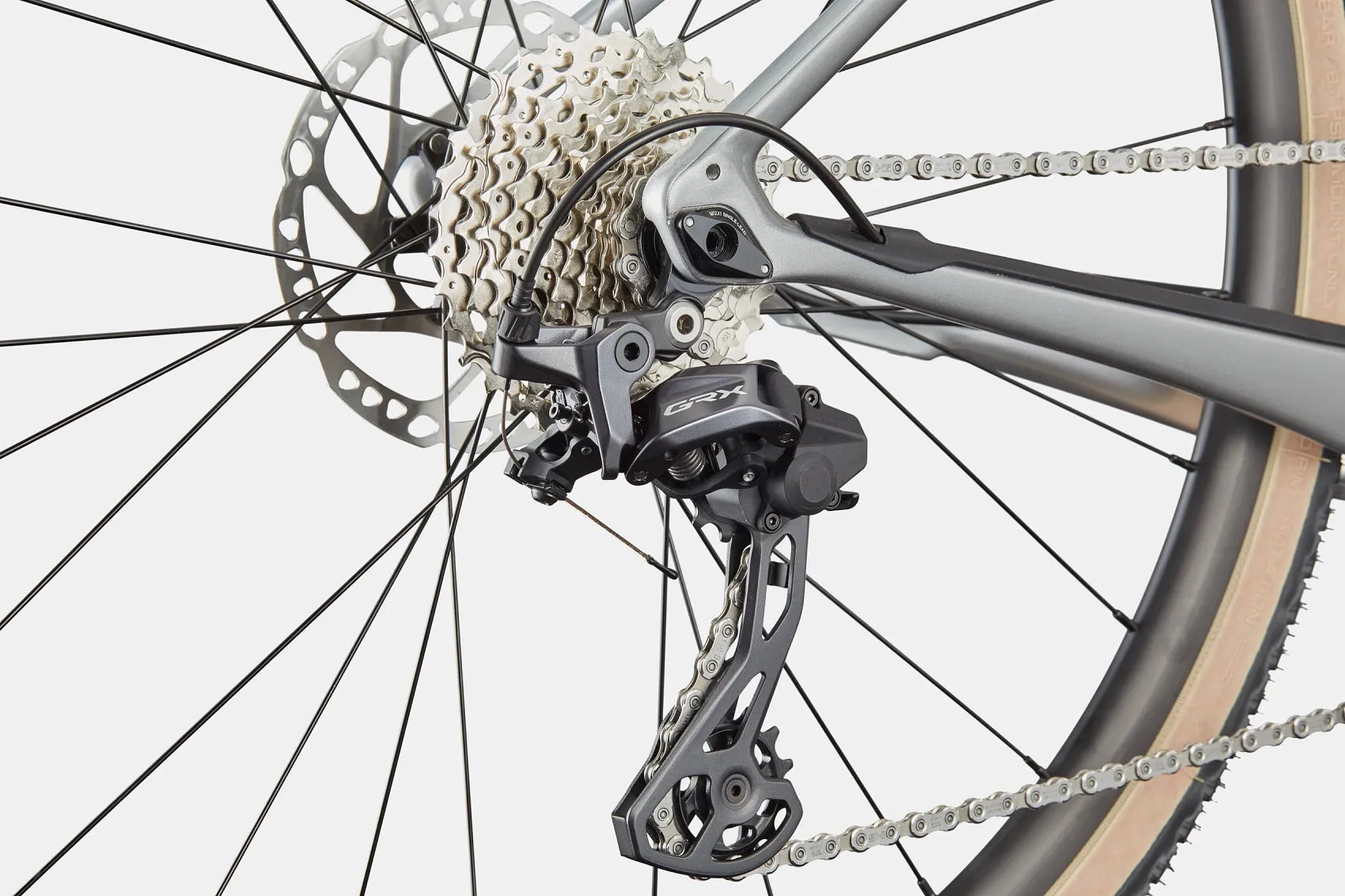 Synapse Neo Allroad 2