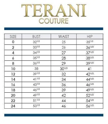 Terani Couture 251E4205 Dress