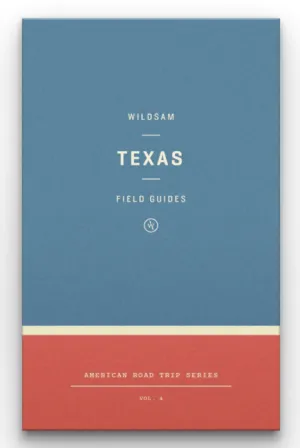 Texas- American Roadtrip Series Vol.4