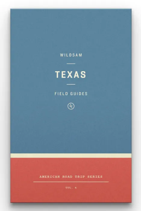 Texas- American Roadtrip Series Vol.4