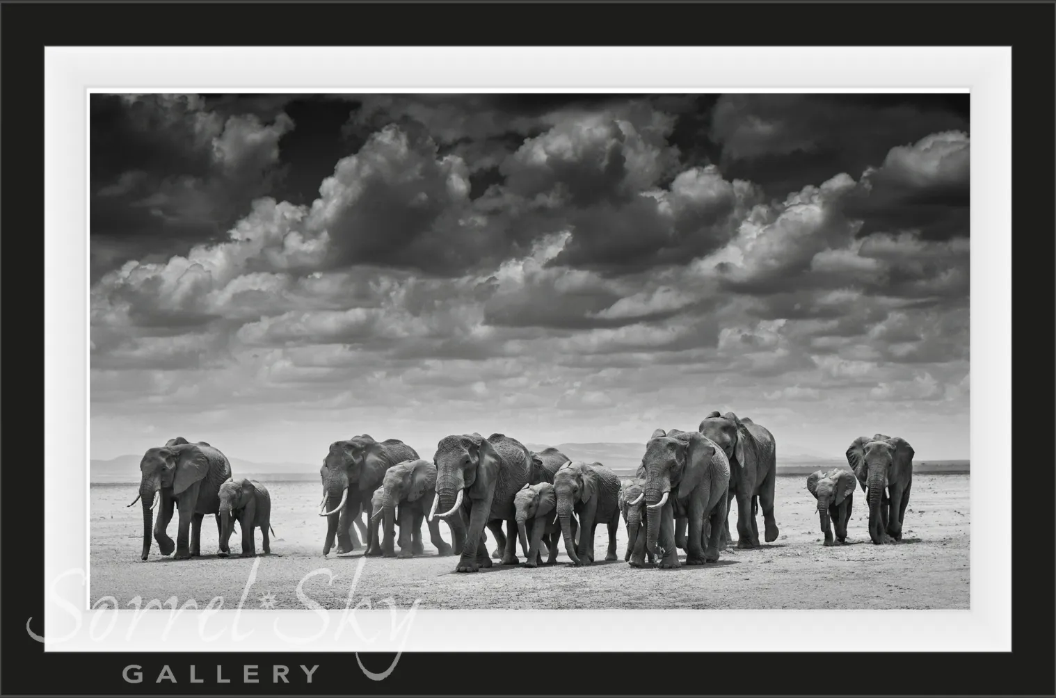 THE CROSSING