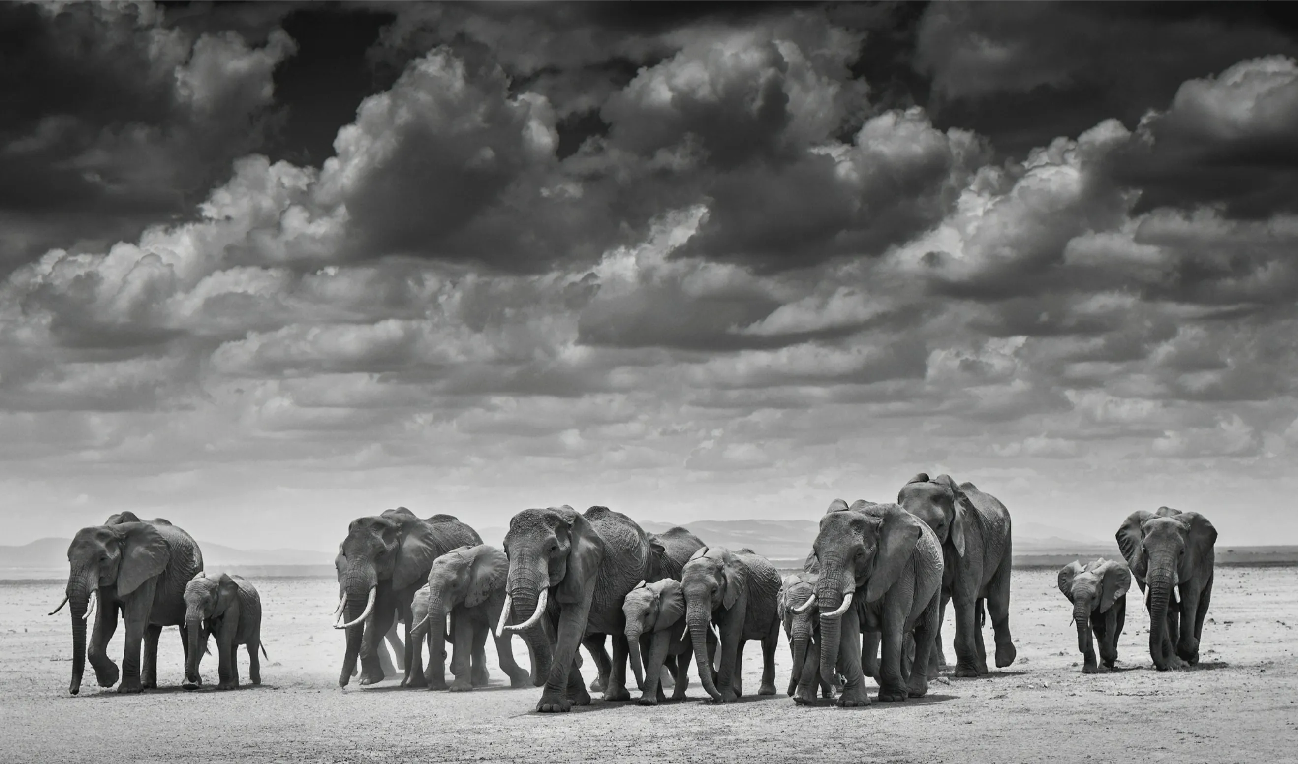 THE CROSSING