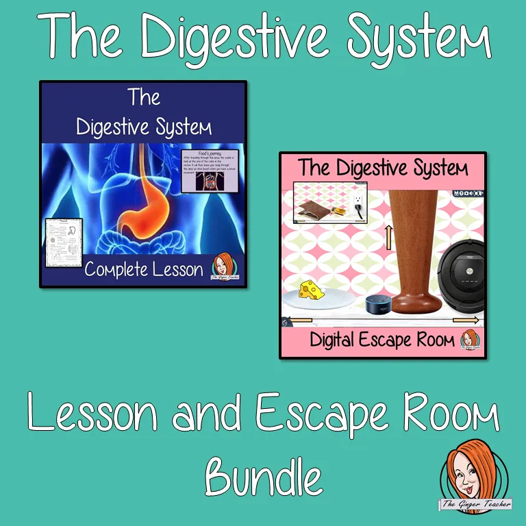 The Digestive System Lesson and Escape Room Bundle