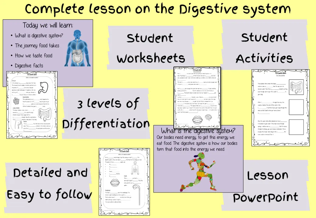 The Digestive System Lesson and Escape Room Bundle