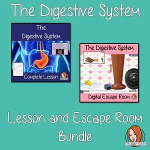 The Digestive System Lesson and Escape Room Bundle