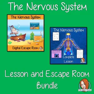 The Nervous System Lesson and Escape Room Bundle