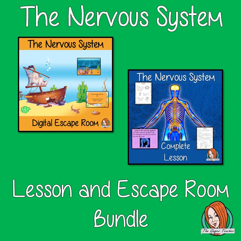 The Nervous System Lesson and Escape Room Bundle