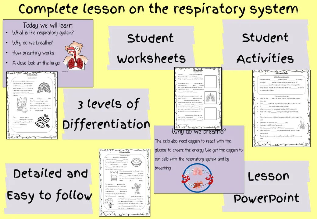 The Respiratory System Lesson and Escape Room Bundle