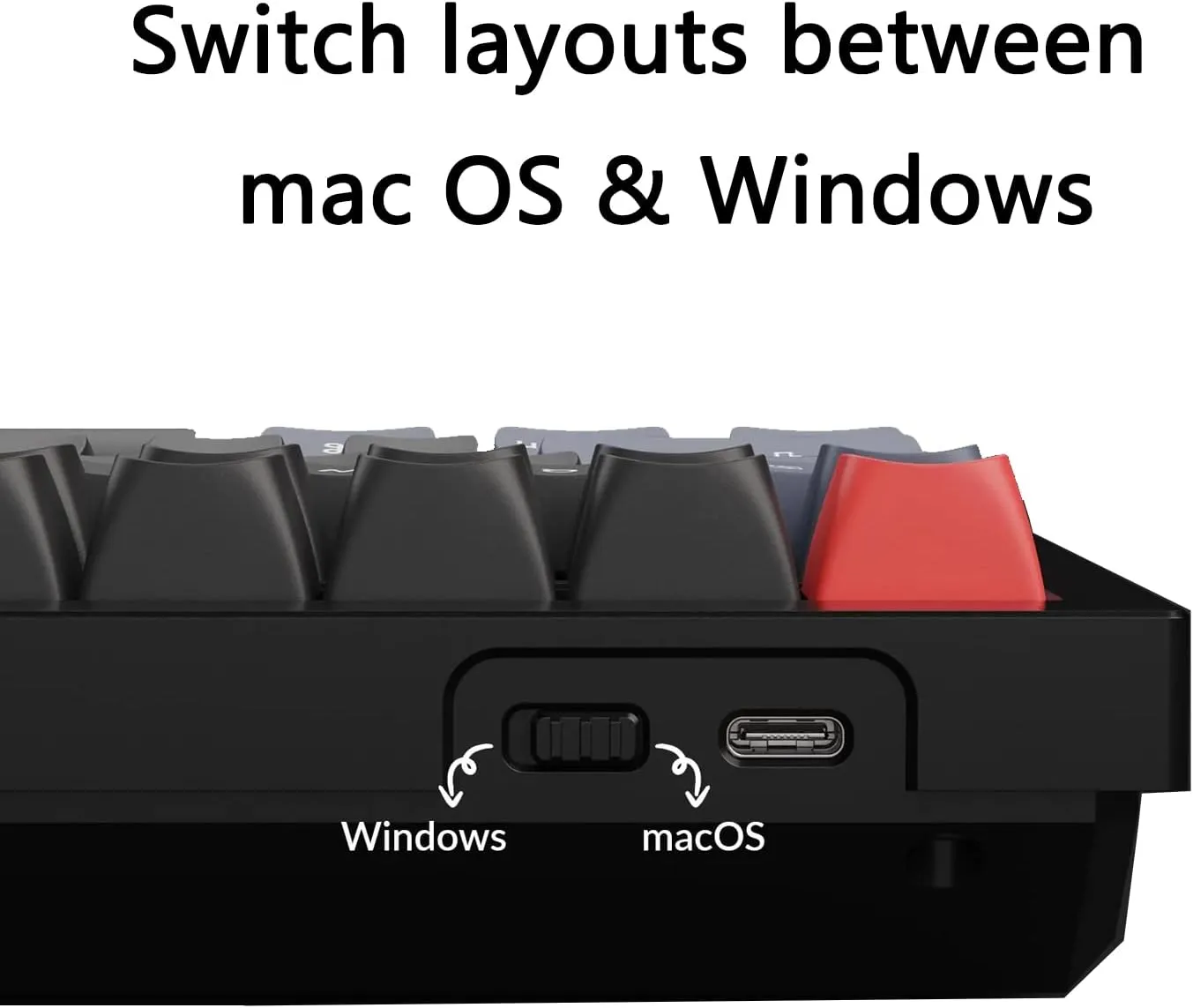 TKL 80% Layout Custom Wired Mechanical Keyboard