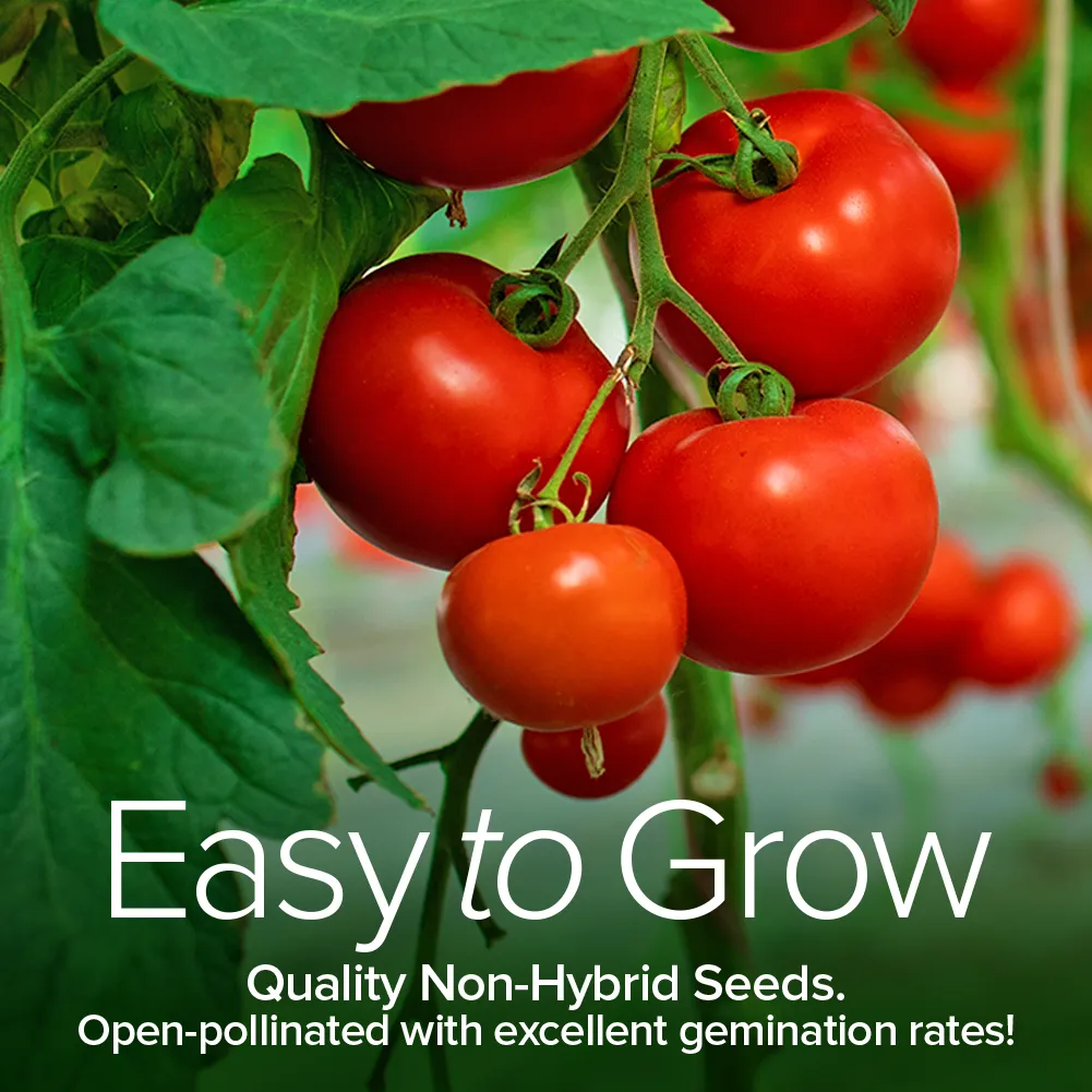 Tomato Seed Assortment | 8 Variety Pack