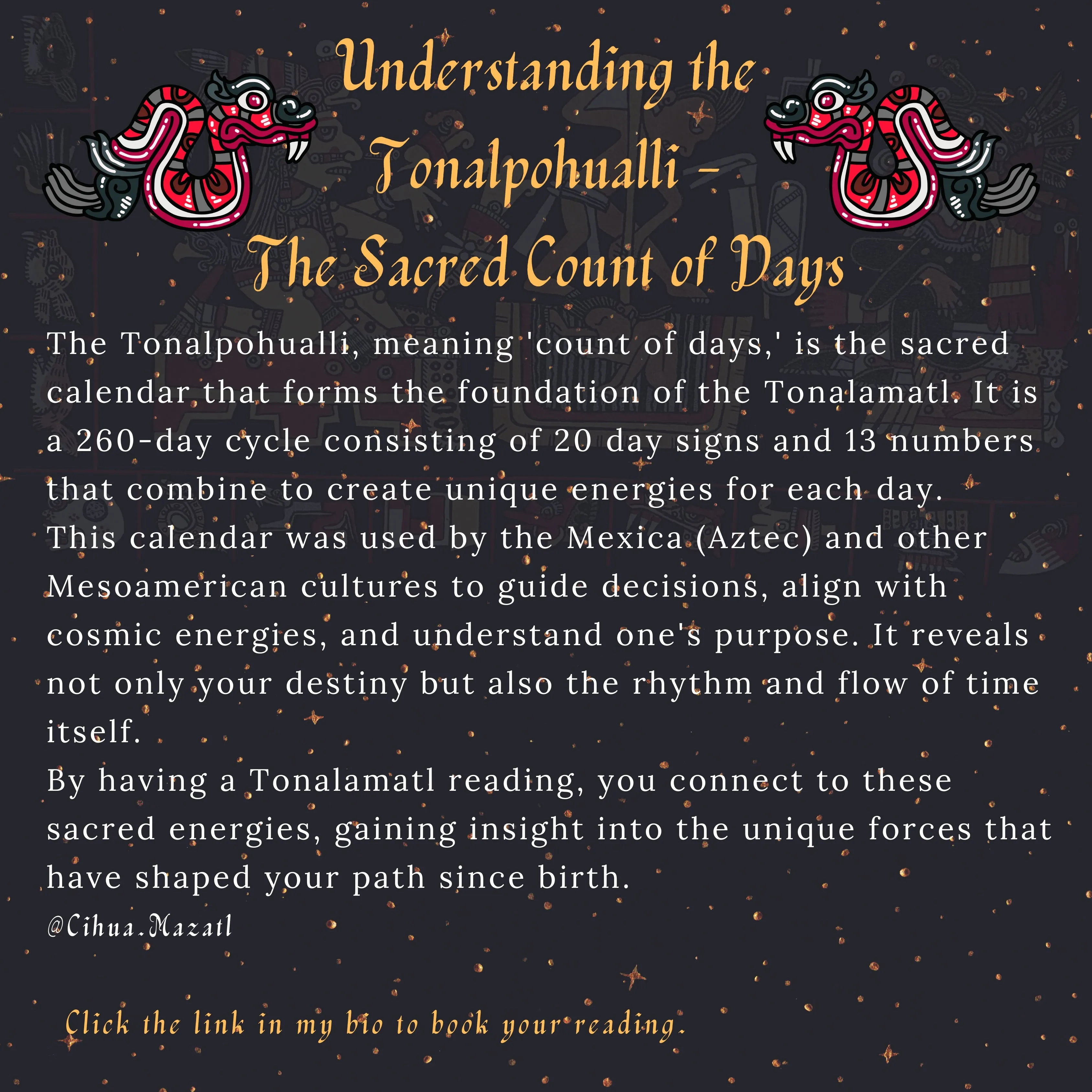 TONALAMATL Appointment| Individual or Family | Tonalli Reading