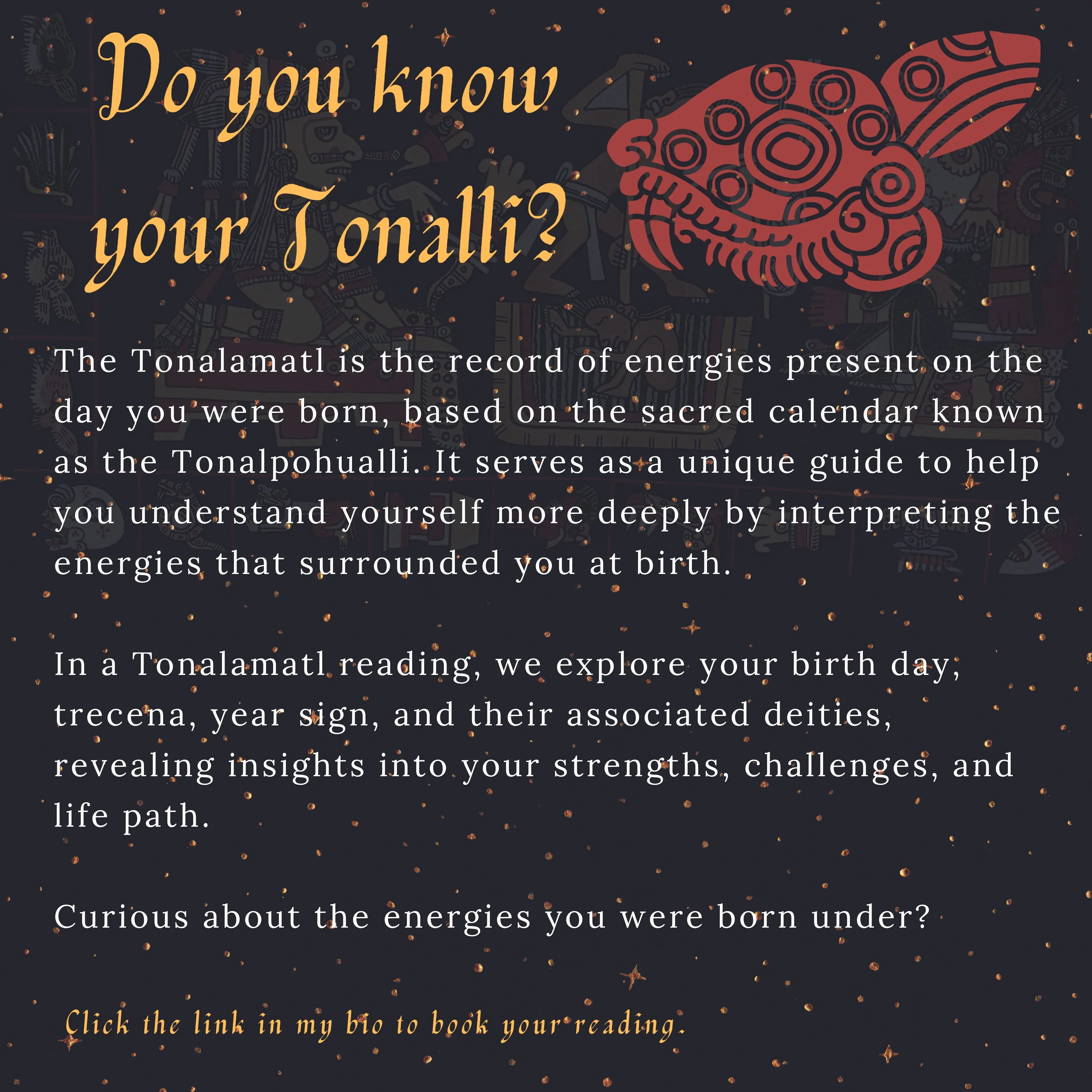 TONALAMATL Appointment| Individual or Family | Tonalli Reading