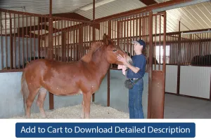Training Tip - #010 Clutter-Free Stalls