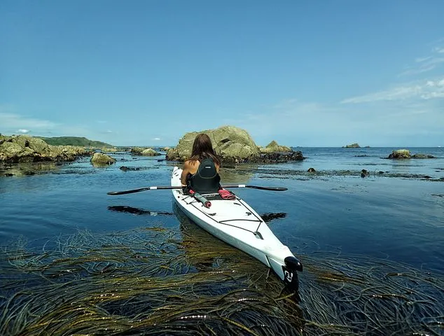 USED BOAT - V6 Gen 2 (Performance)
