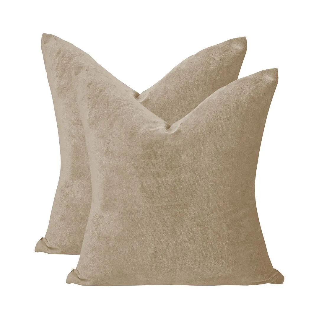 Velvet Throw Square Pillow Cover (Set of 2) Lilijan Home & Curtain Color: 13 Ecru Size: 22" x 22"
