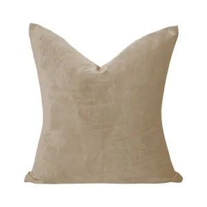 Velvet Throw Square Pillow Cover (Set of 2) Lilijan Home & Curtain Color: 13 Ecru Size: 22" x 22"