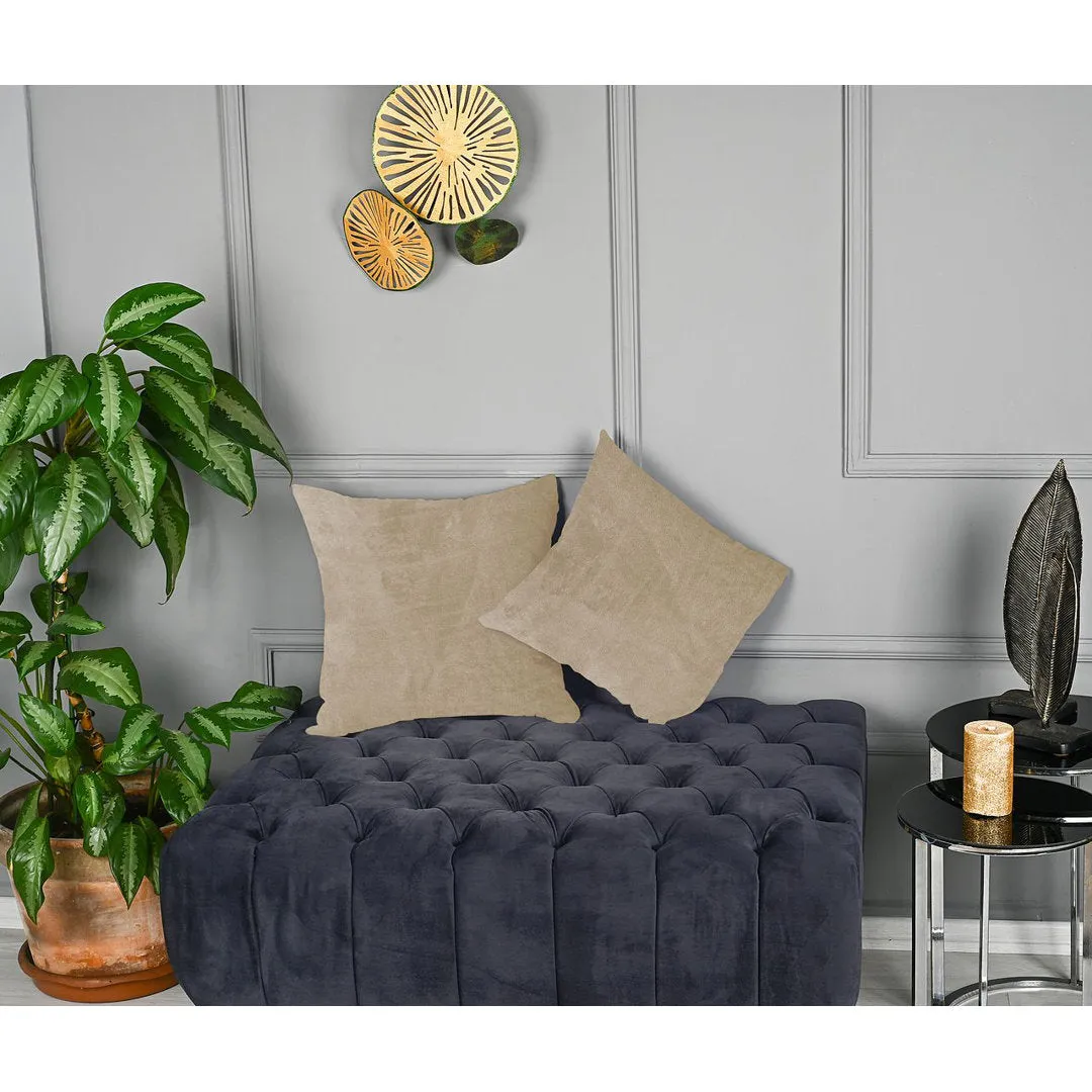 Velvet Throw Square Pillow Cover (Set of 2) Lilijan Home & Curtain Color: 13 Ecru Size: 22" x 22"