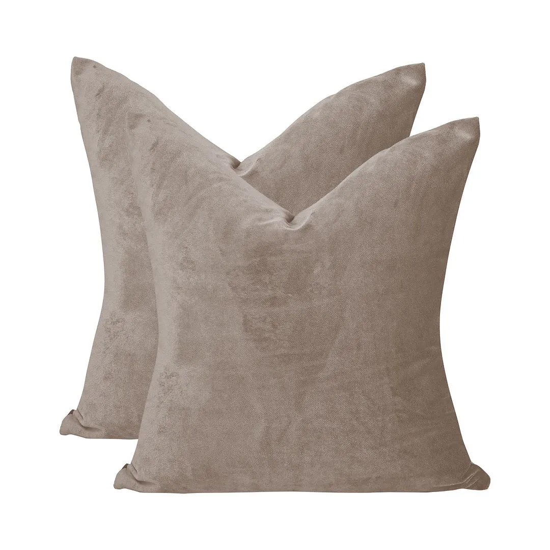 Velvet Throw Square Pillow Cover (Set of 2) Lilijan Home & Curtain Color: 17 Tan Size: 20" x 20"