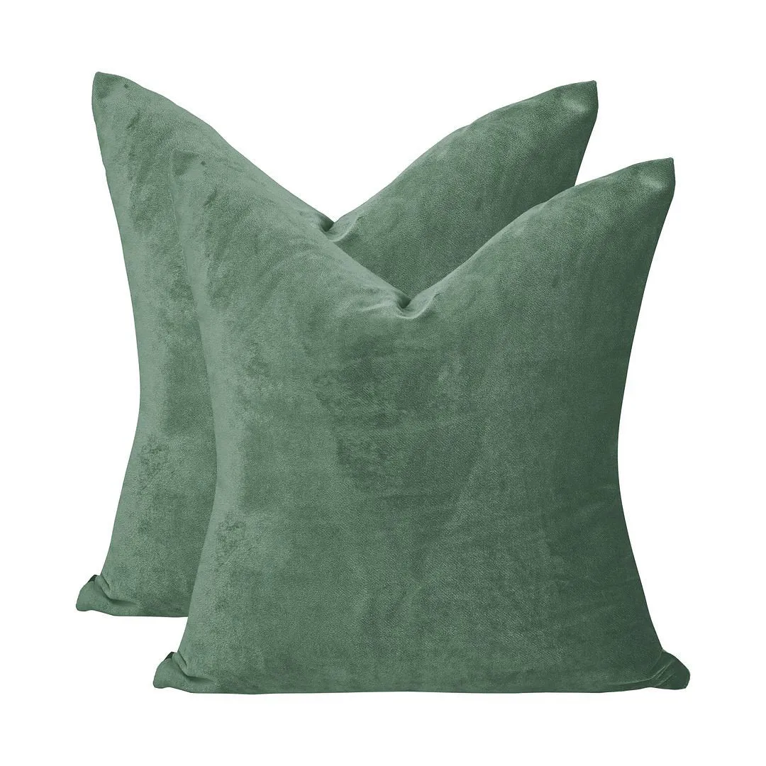 Velvet Throw Square Pillow Cover (Set of 2) Lilijan Home & Curtain Color: 36 Xanadu Size: 16" x 16"