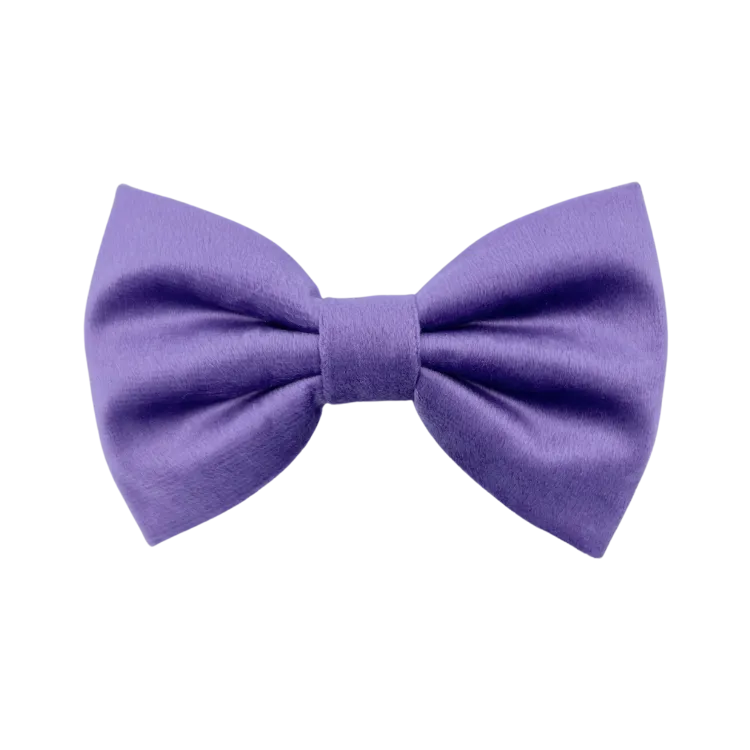 Violet Velvet - Dog Bowtie