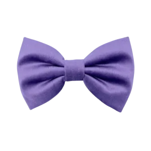 Violet Velvet - Dog Bowtie
