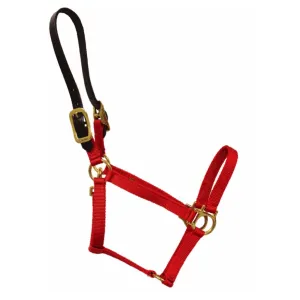 Walsh Breakaway Nylon Pony Halter