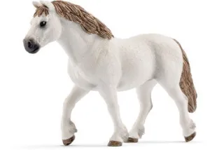 Welsh Pony Mare