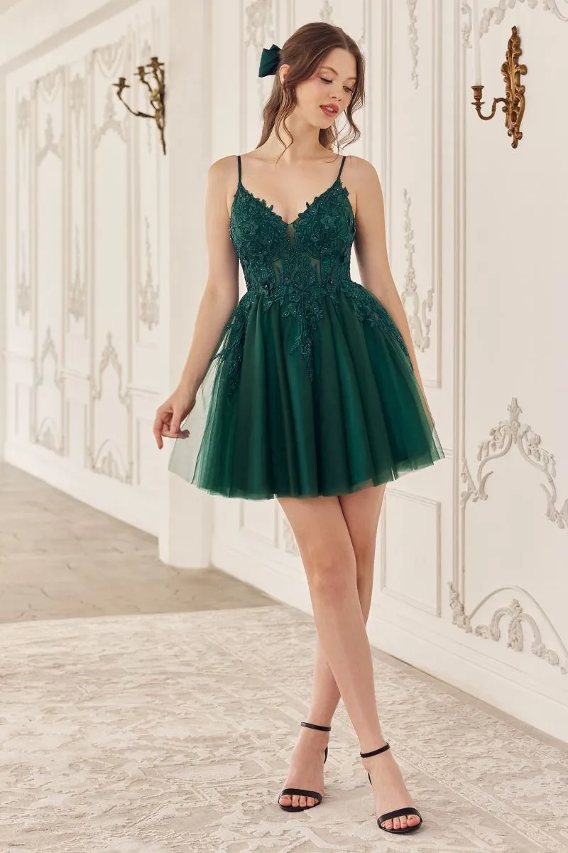 Whimsy Embellished Short Tulle Dress