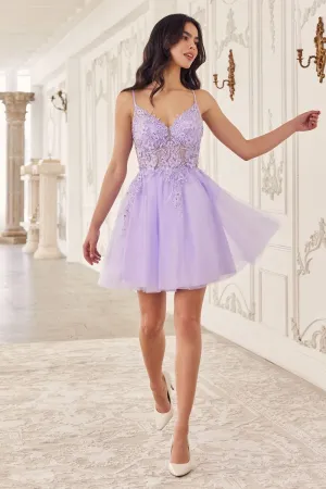 Whimsy Embellished Short Tulle Dress