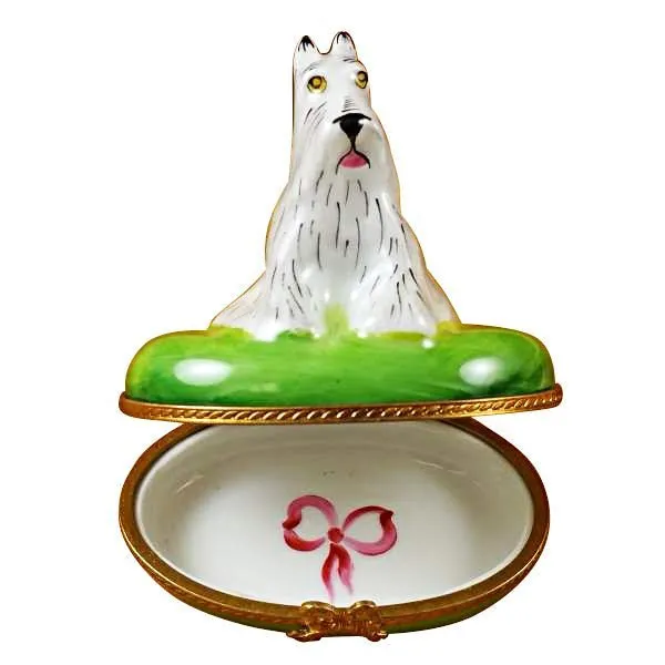White Schnauzer