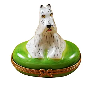 White Schnauzer
