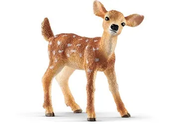 White tailed Fawn