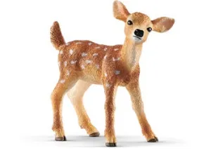 White tailed Fawn