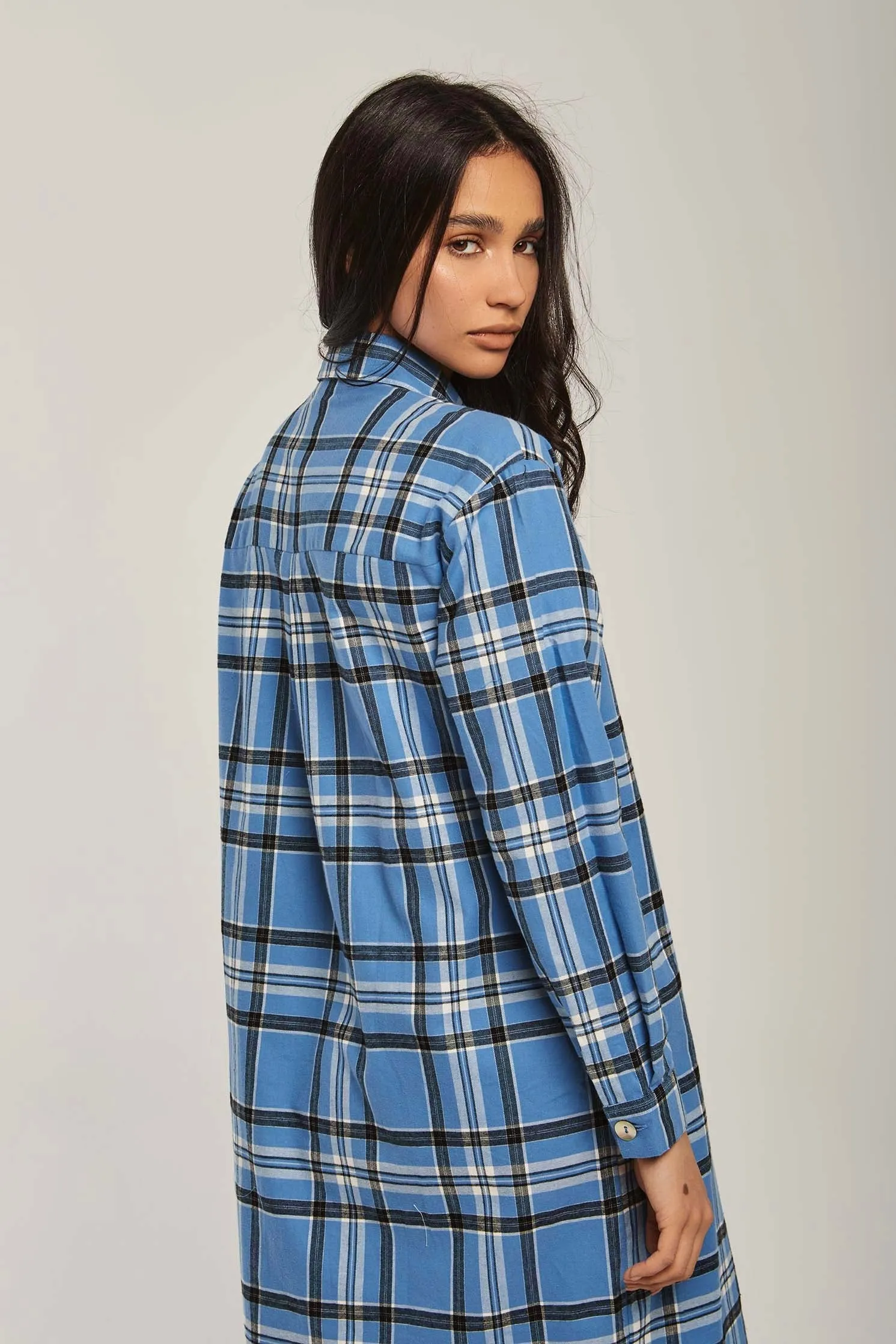 Women Dress Basic Checks Shirt Blue