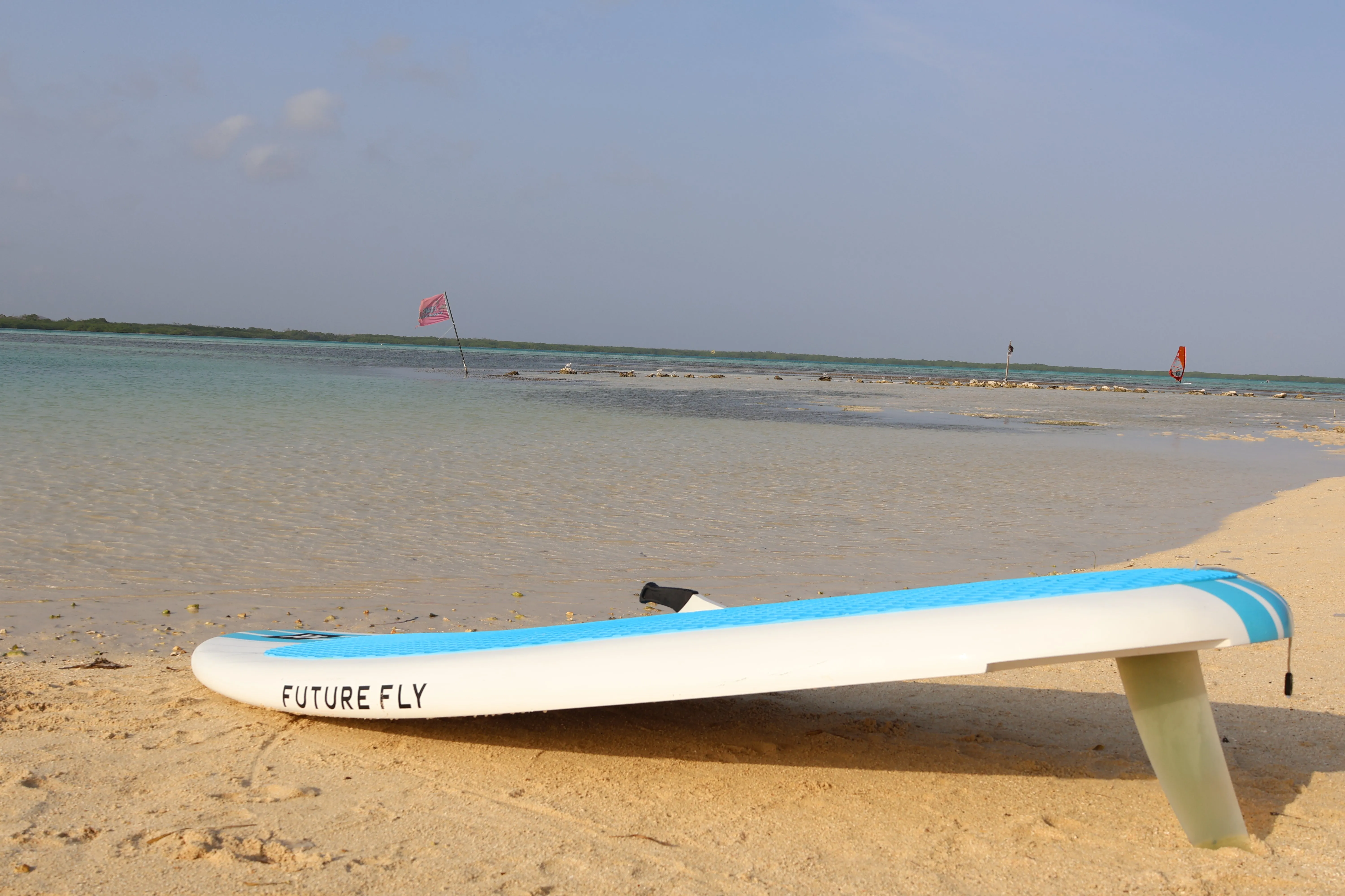 YALLA 222 2024 - BEGINNER BOARD - INTRODUCTORY OFFER