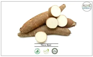 Yucca Root